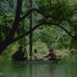 Hair, Paper, Water...