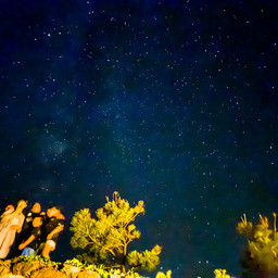 Sky, Wind, Stars and the Island
