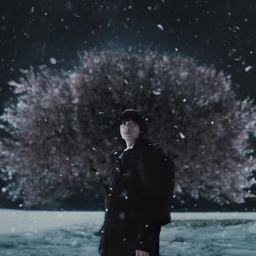 5 Centimeters Per Second