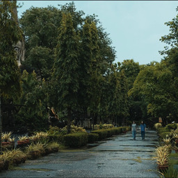 The Observer′s Journal