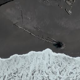 Roaring Ashes