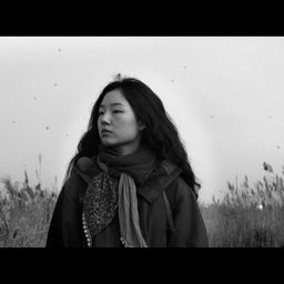 여행자의 일지