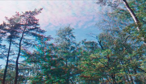 로호 잘리아 블라우