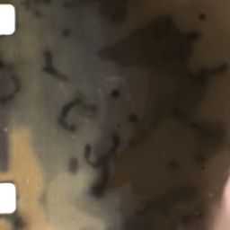 체육대회