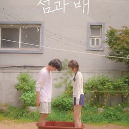 섬과 배