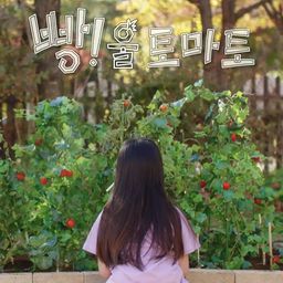 빵!울 토마토