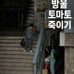 방울토마토 죽이기