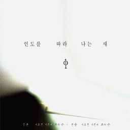 인도를 따라 나는 새