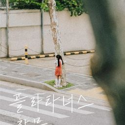 플라타너스 창문