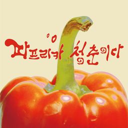파프리카 청춘이다