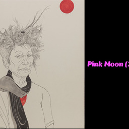 Pink Moon