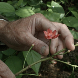 7 Walks with Mark Brown