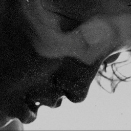 Aoquic iez in Mexico! Mexico will no longer exist!