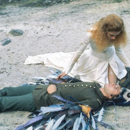 A Dream Longer Than the Night