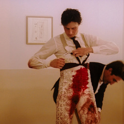 Afternoons of Solitude