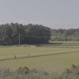 The House of Rising Sun(WITHBOM version)