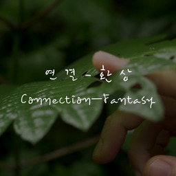 Connection—Fantasy