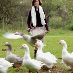 Extraordinary Stories