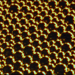 La plante dansante de désastres