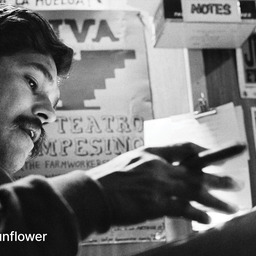 American Pachuco: The Legend of Luis Valdez