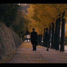 Late Summer Echoes of Love