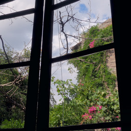 Letters to My Dead Parents