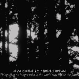 사진소설