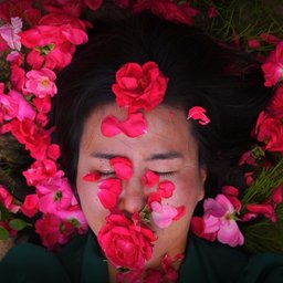 꿈의 배꼽