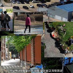 퍼니스트 홈비디오, 코리아