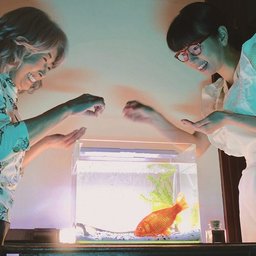 유키코의 발걸음